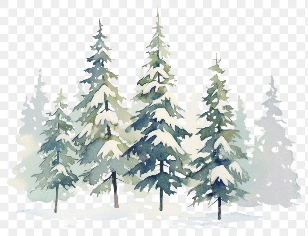 PNG Simple pine trees with snow coverd illustration christmas landscape.