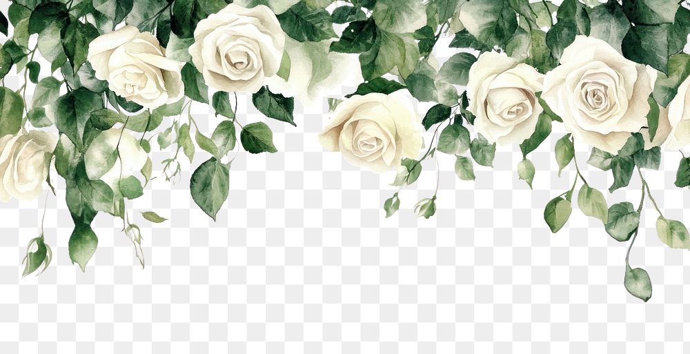 PNG Hanging white roses illustration art decoration.