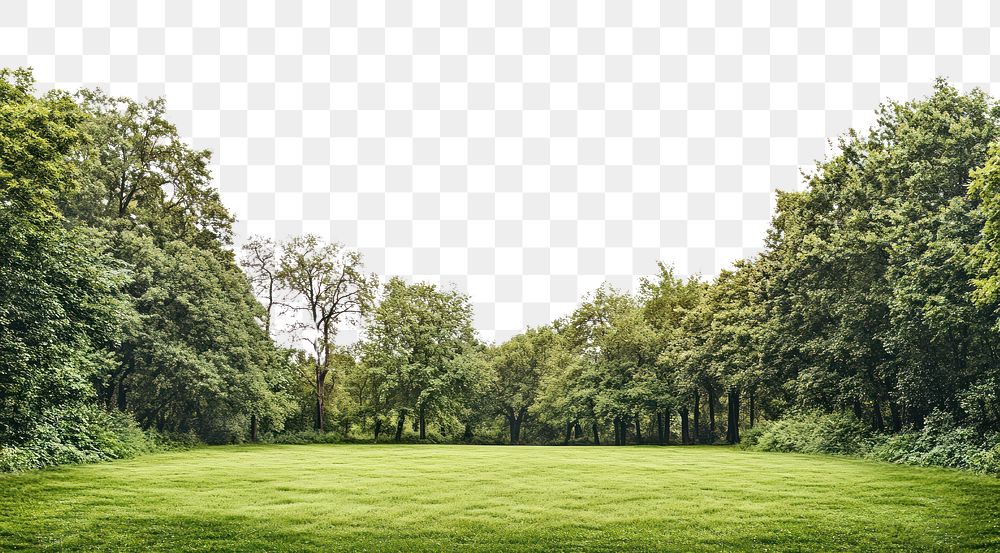 PNG Green lawn trees outdoors scenery.