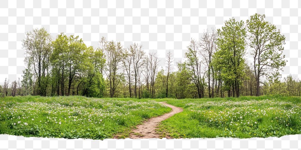 PNG Real park dirt path landscape outdoors scenery.