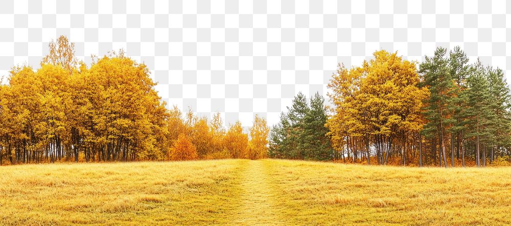 PNG Real park dirt path autumn landscape outdoors.