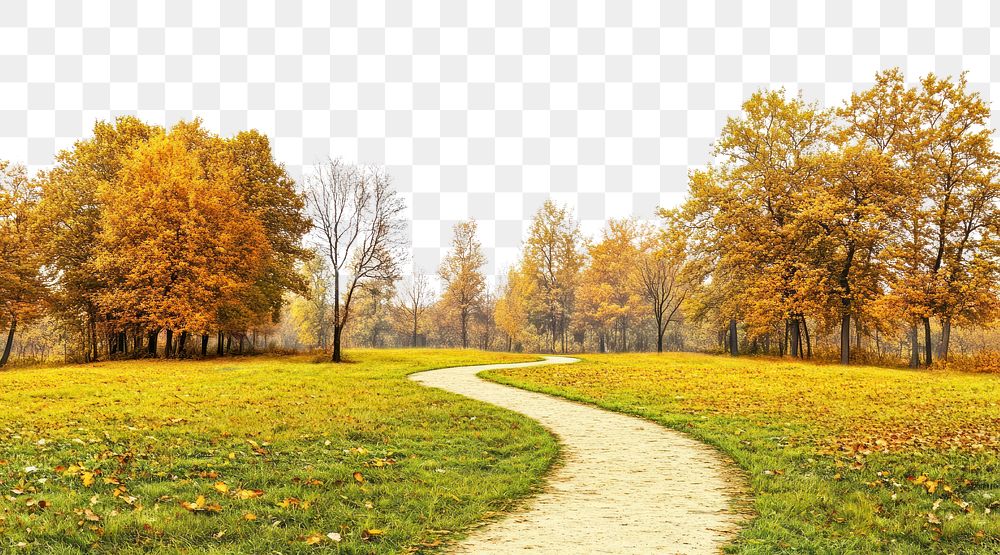 PNG Real park dirt path autumn landscape outdoors.