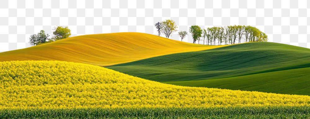 PNG Hilly spring fields countryside landscape scenery.