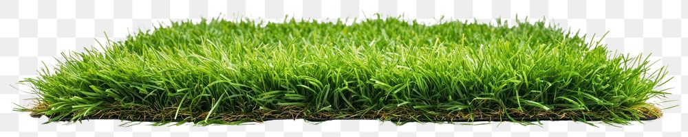 PNG Green grass background green lawn landscaping.