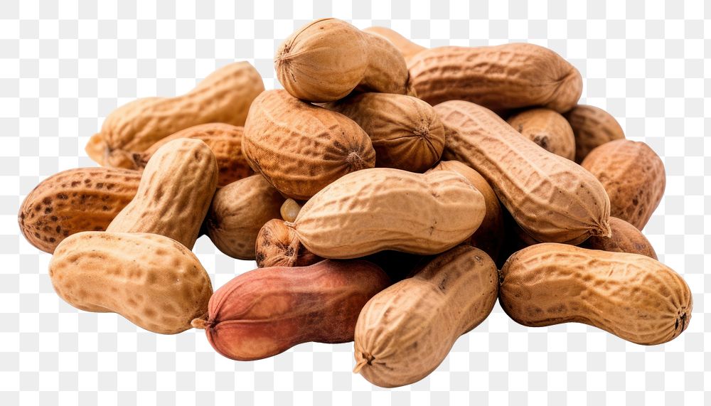 PNG Peanuts plant food white background. 