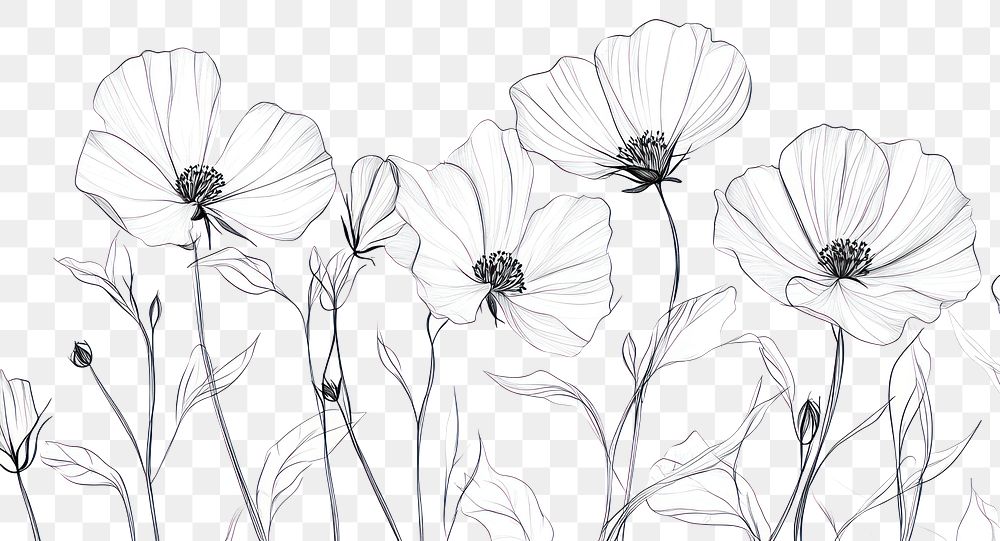 PNG Flowers illustration minimalist drawing.