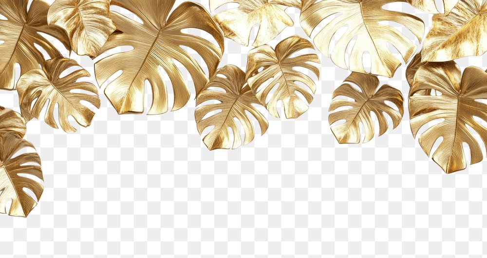 PNG Gold monstera leaves border leaf background accessories.