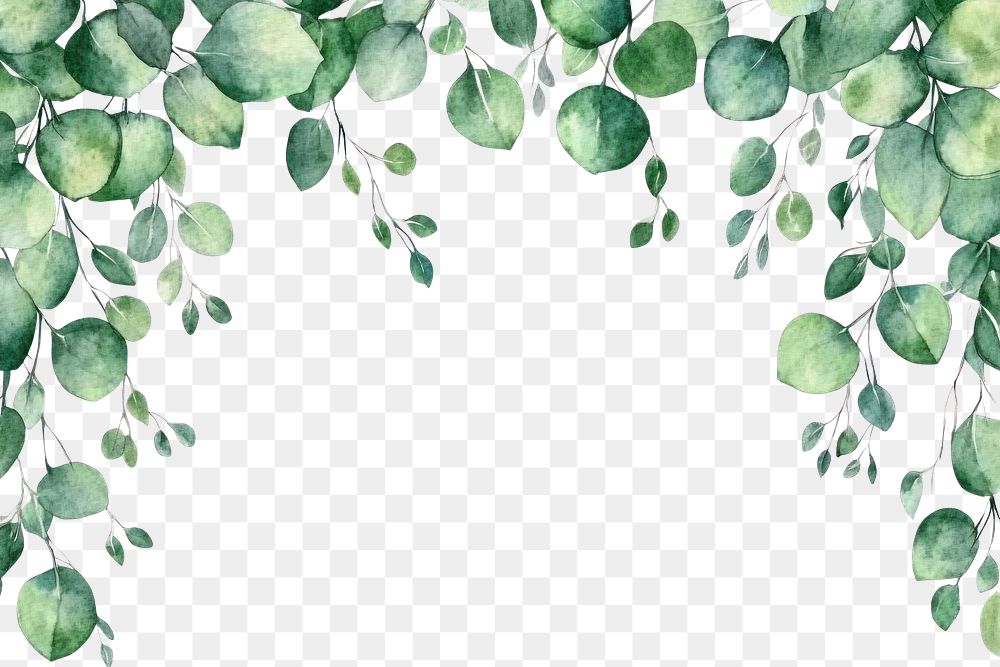 PNG Eucalyptus decoration frame illustration watercolor leaf.