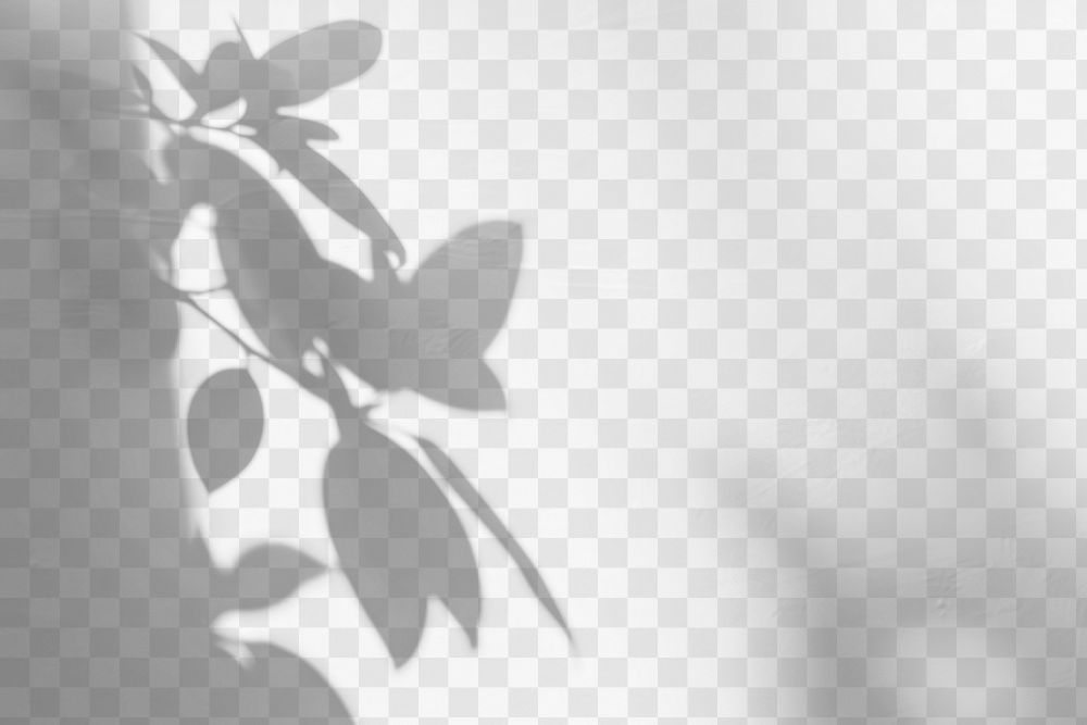 PNG Shadow from plant minimalist white leaf.