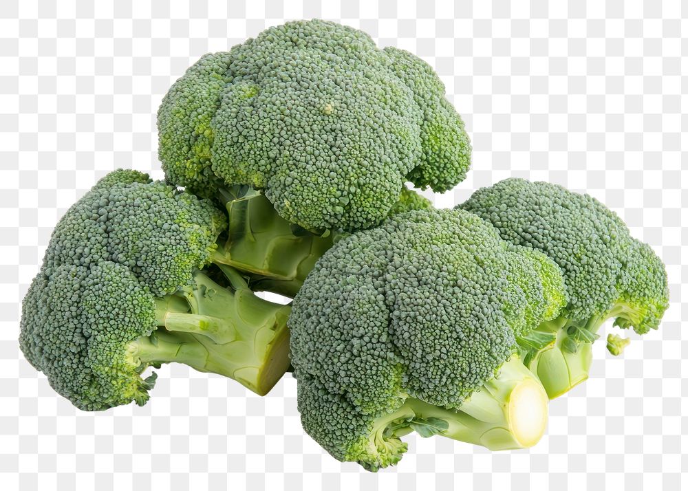 PNG Broccolies vegetable broccoli fresh.