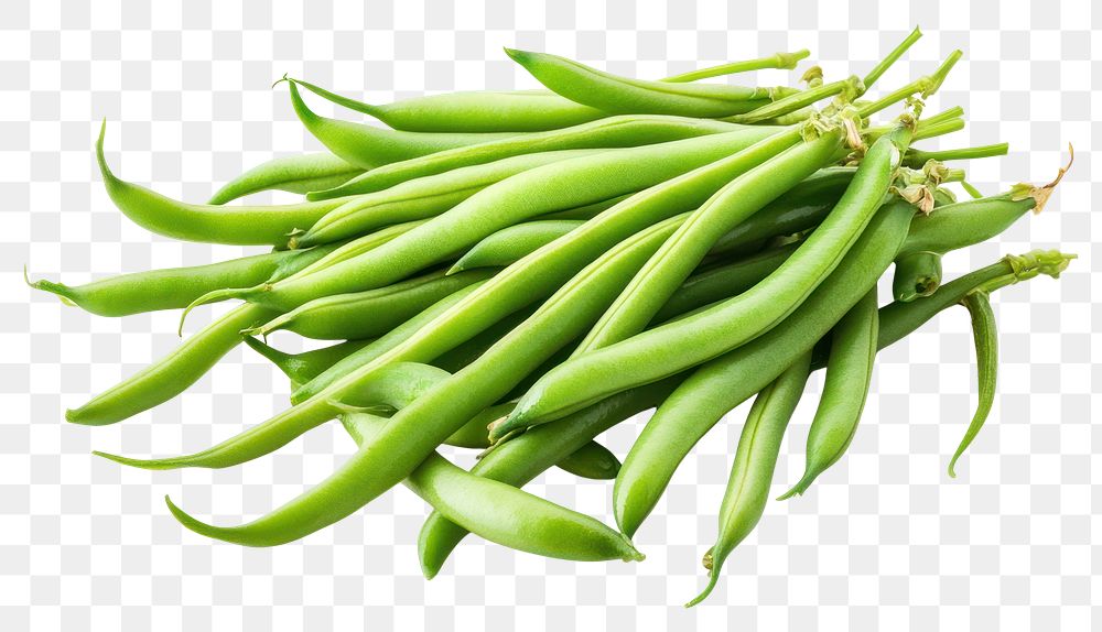 PNG Green bean vegetables beans produce.