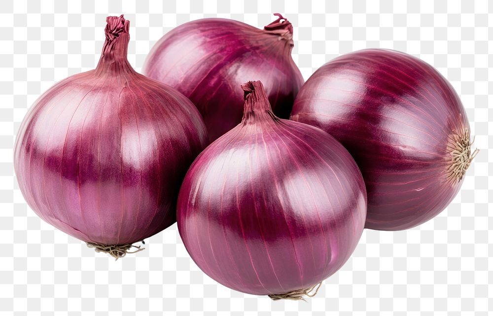 PNG Onions vegetable onion photography.