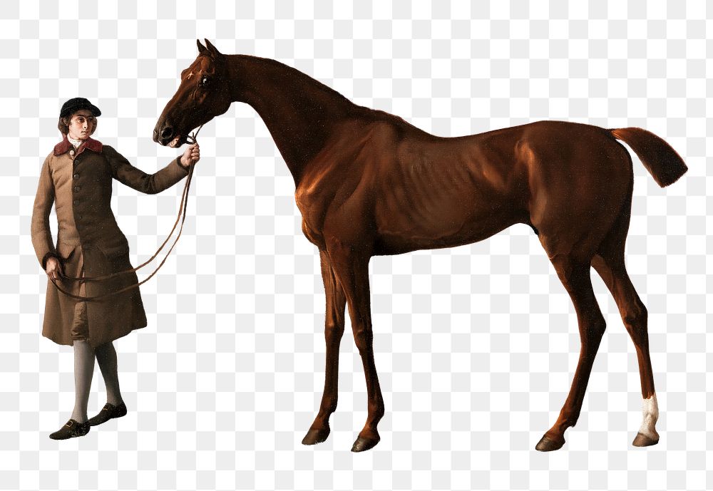 Man and horse png vintage illustration on transparent background. Remixed by rawpixel.