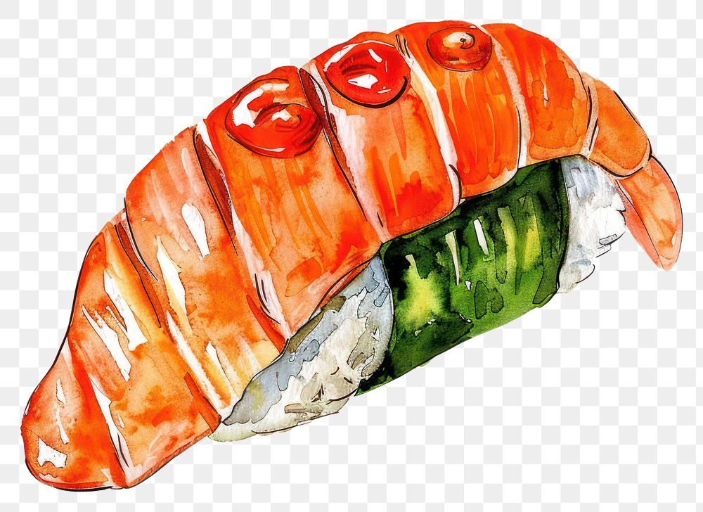 PNG An isolated Toro nigiri food illustration watercolor.