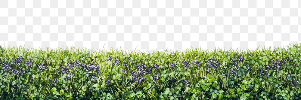 PNG Bright Mid-Morning Spring Meadow with Violet Wildflowers grass outdoors nature.