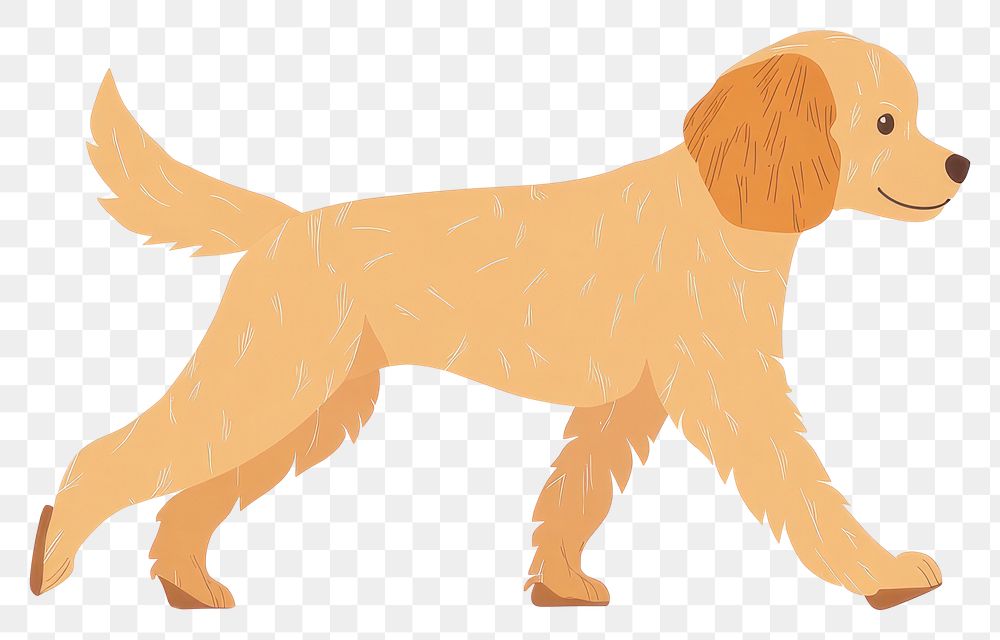 PNG Dog Poodle retriever walking illustration animal style.