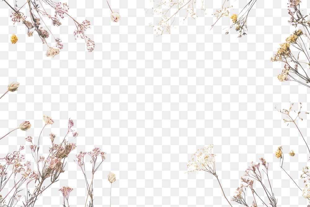 PNG Real pressed flowers border dried nature-inspired dried flowers.