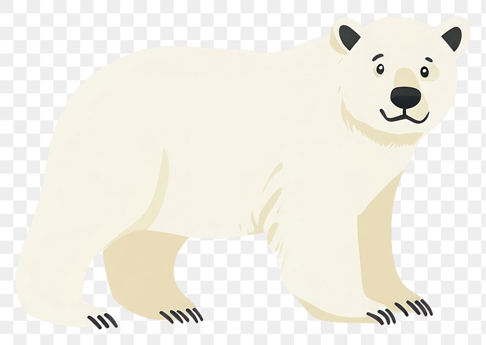 PNG Polar bears wildlife animal illustration.