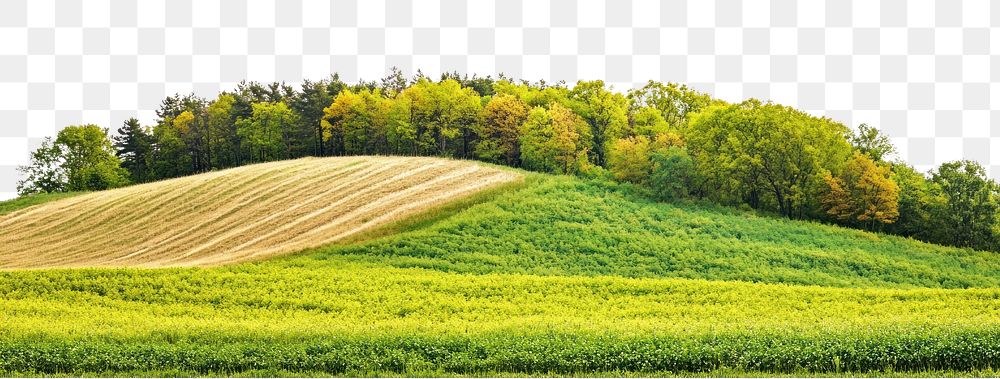 PNG Hilly spring fields landscape outdoors scenery.