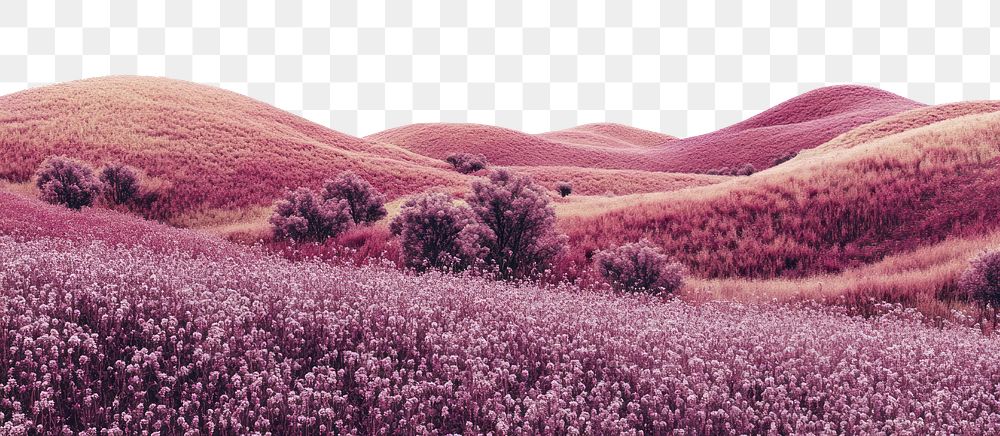 PNG Flower hills landscape scenery nature.