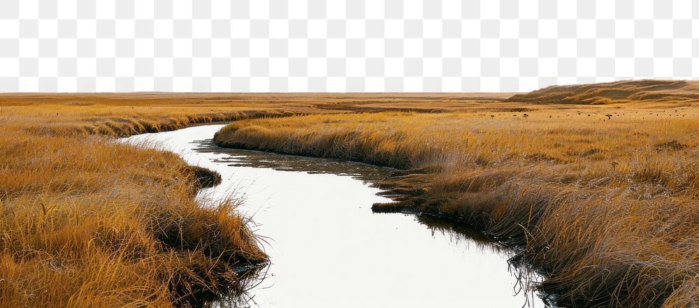 PNG Silence river and yellow grass field landscape nature scenery natural.