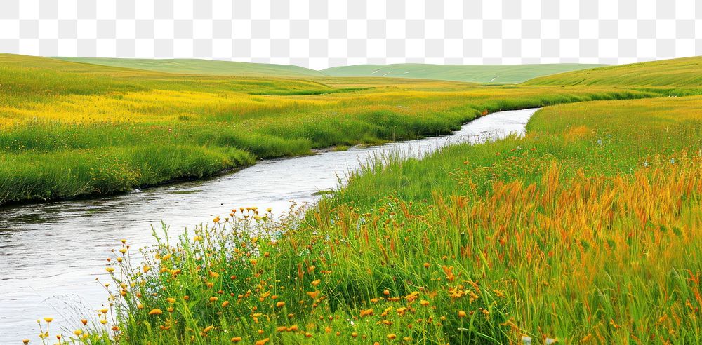 PNG Silence river and yellow and green grass field landscape nature natural sky.