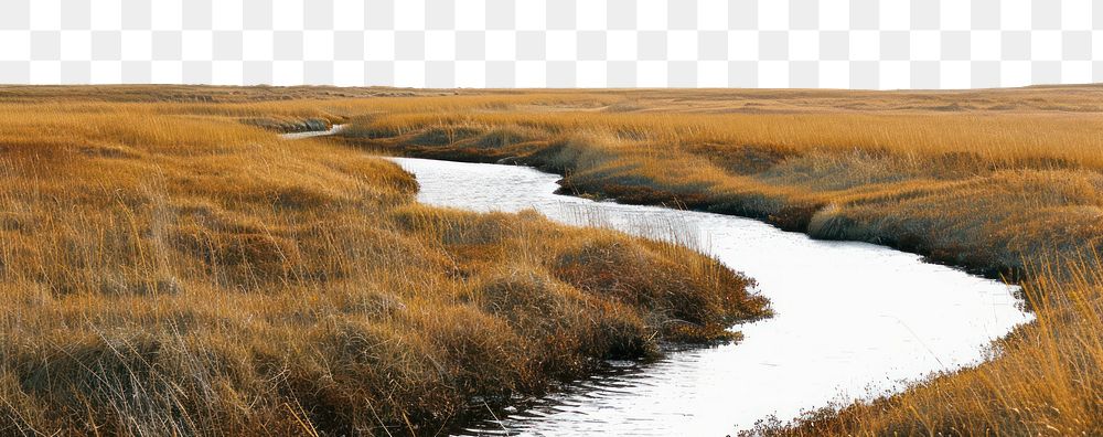 PNG Silence river and yellow grass field landscape nature meandering outdoors.