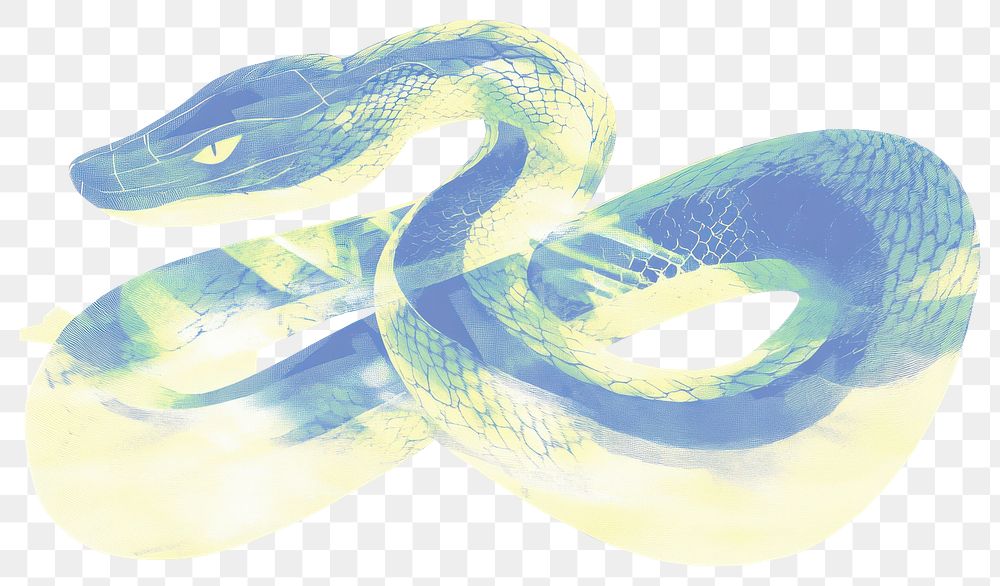 PNG Snake snake illustration abstract.