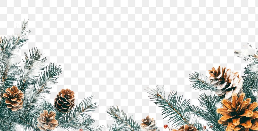 PNG Christmas theme border nature pine illustration.