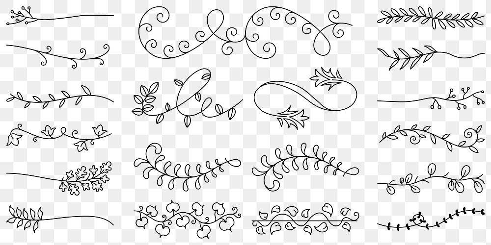 PNG Elegant floral decorative elements set on transparent background