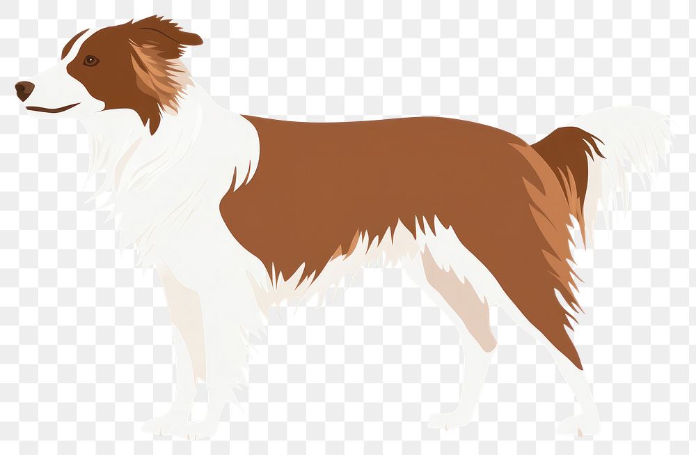 PNG Border Collie dog collie illustration animal.