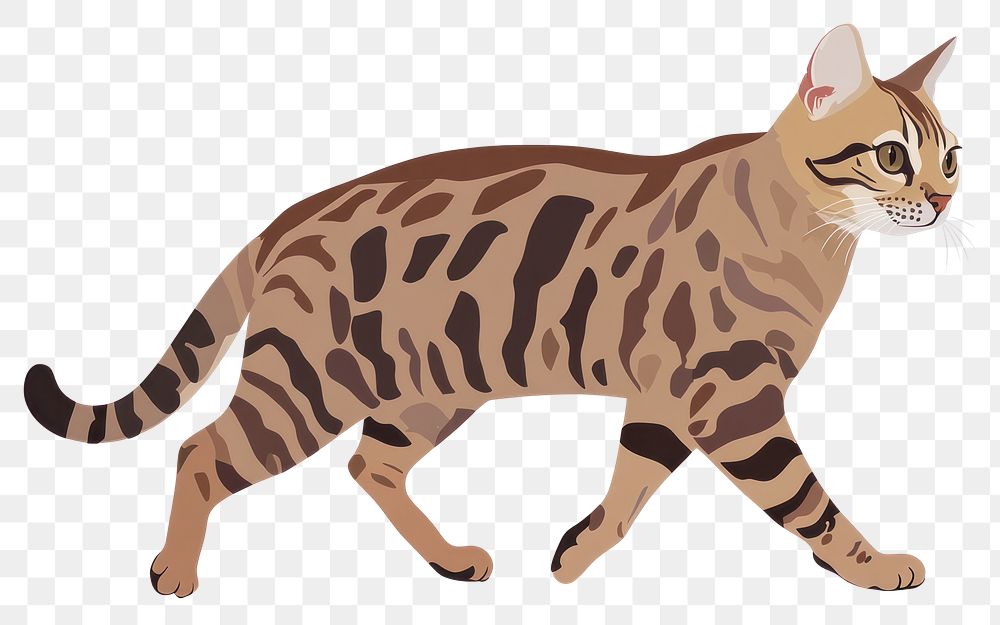 PNG Bengal cat illustration animal bengal.