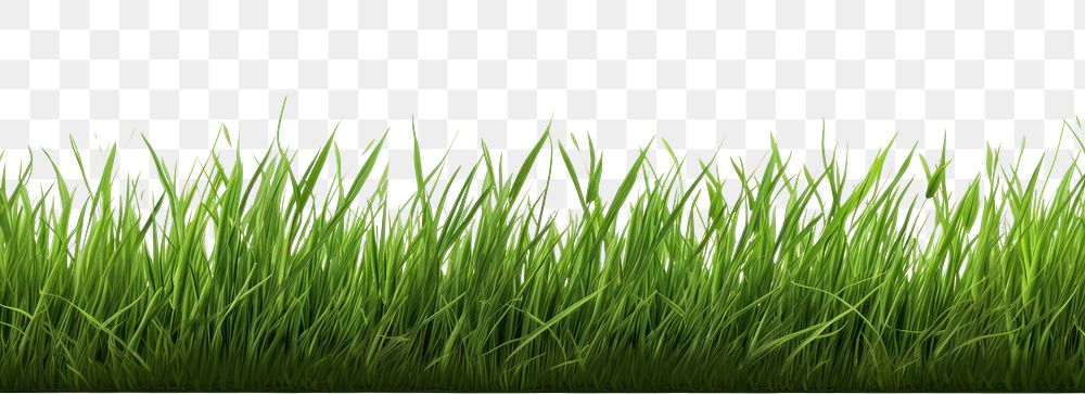 PNG Grass border image grass background green.