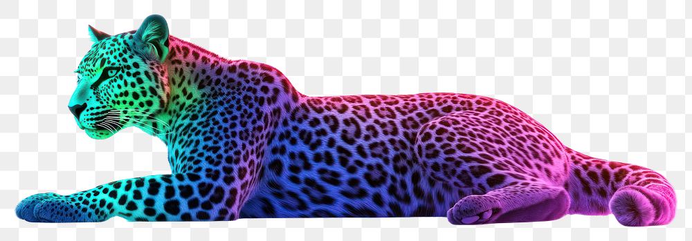 PNG Leopard Neon rim light wildlife animal illustration.