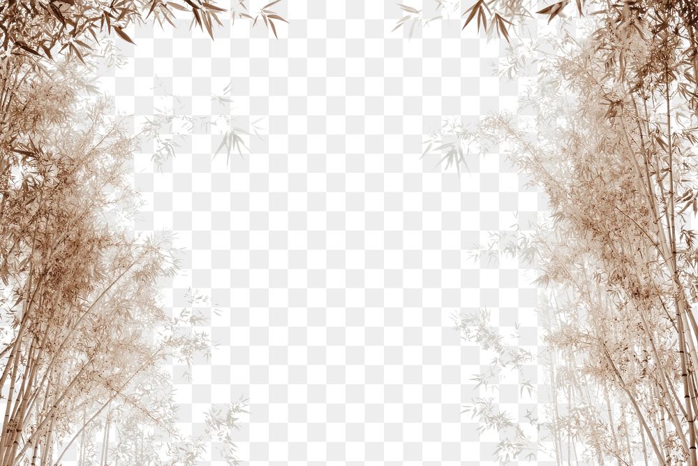 PNG Bamboo trees illustration background nature.