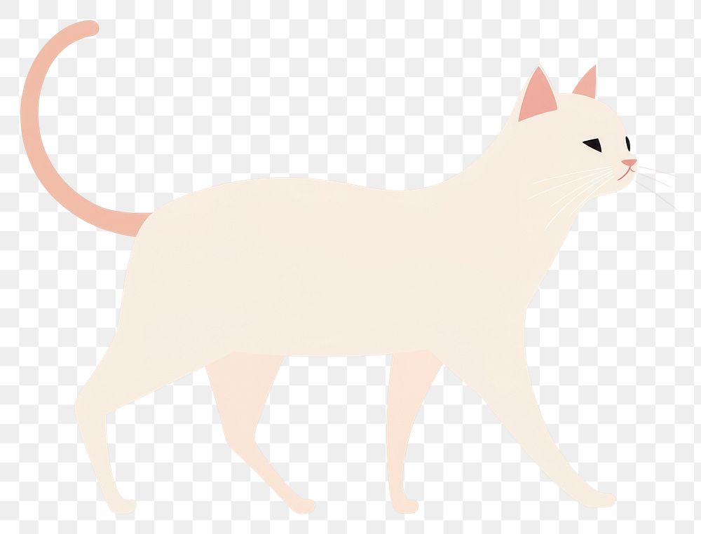 PNG White cat walking illustration minimalist design.