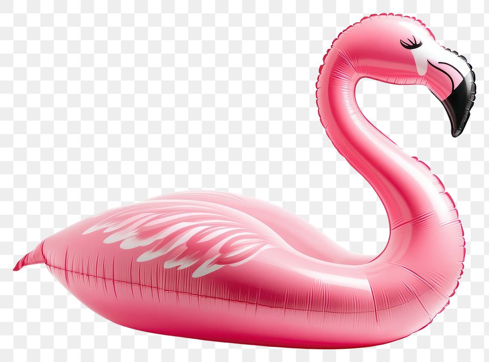 PNG Pink inflatable flamingo pool float accessory tropical animal.