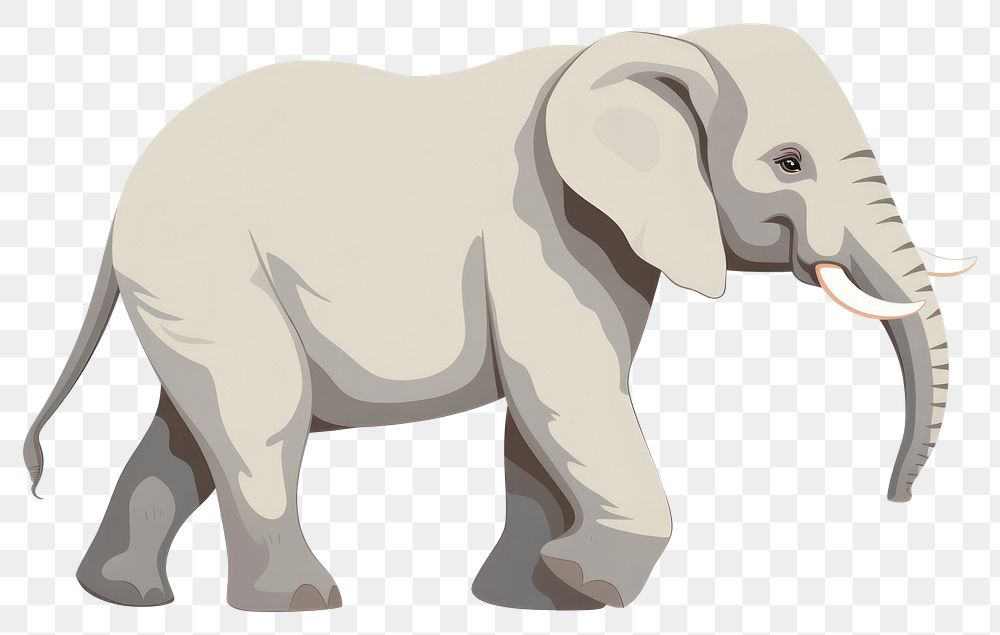 PNG Elephant walking elephant illustration wildlife.