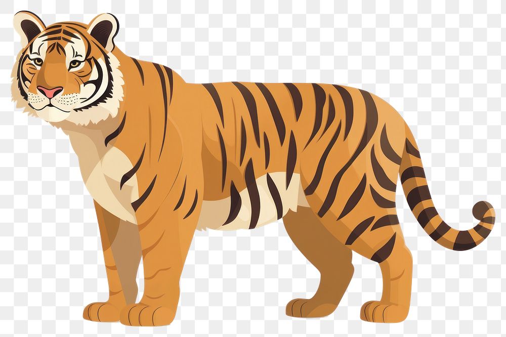 PNG Tiger tiger illustration wildlife.