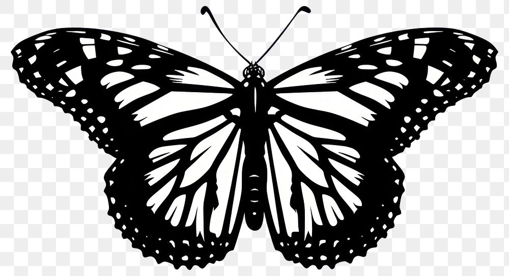 PNG Butterfly silhouette insect black.