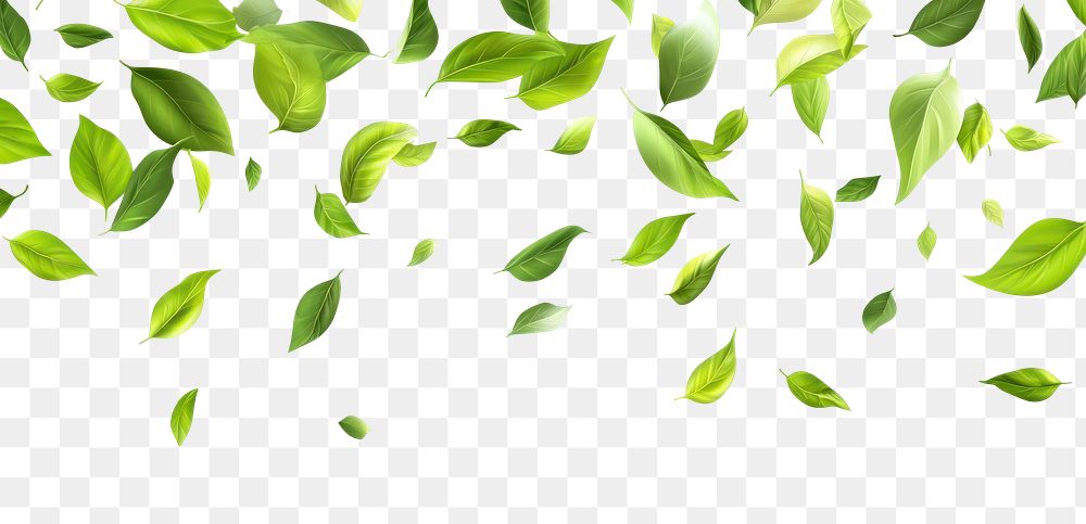 PNG Green leaves flying leaf background design.