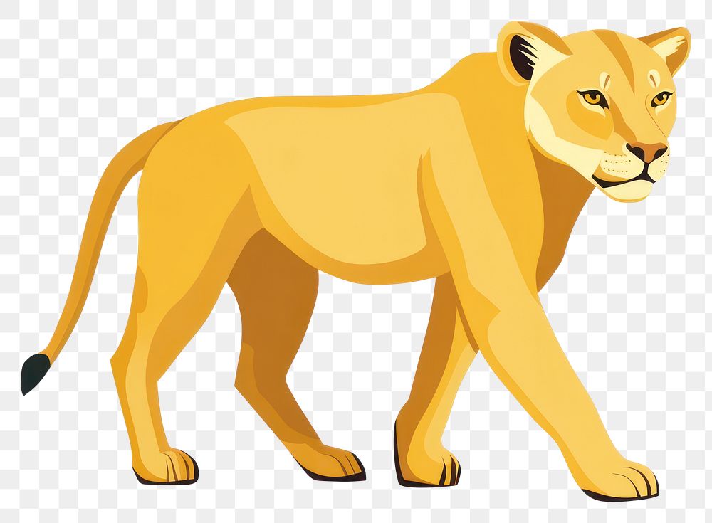 PNG Golden Lioness Walking illustration wildlife lioness.