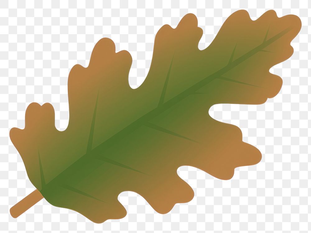 PNG Oak leaf oak illustration seasonal.