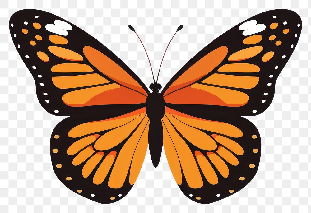 PNG Monarch butterfly illustration insect art.