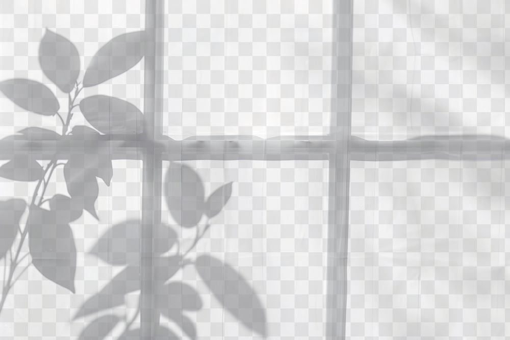 PNG Bush leaves shadow through the window white leaf minimalist.