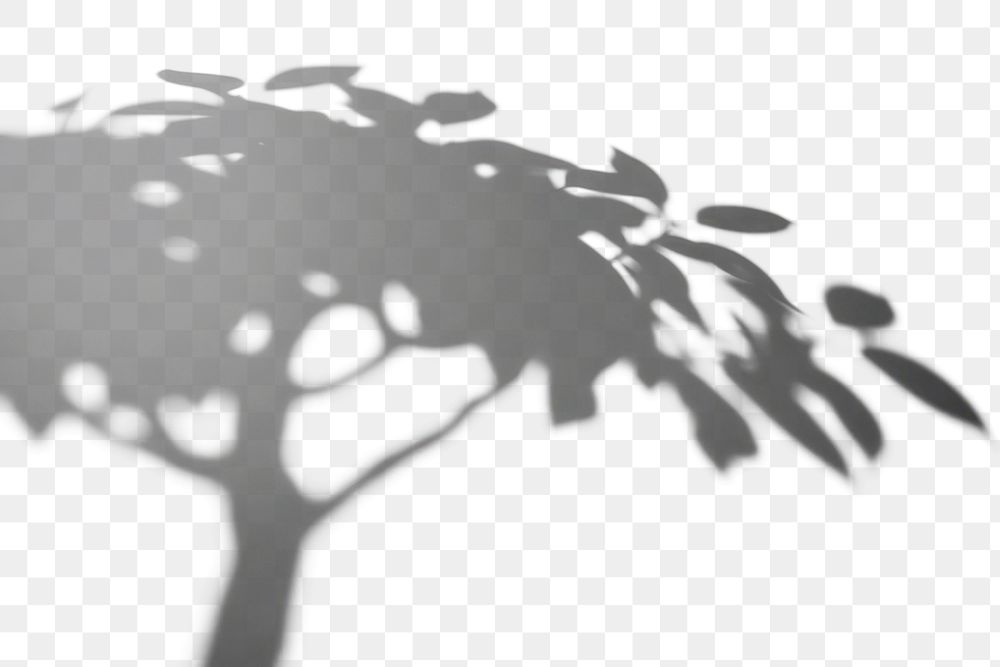 PNG Shadow tree silhouette minimalist | Free PNG - rawpixel