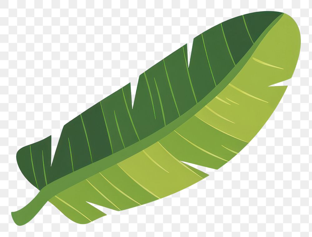 PNG Green curve banana leaf illustration tropical vector.