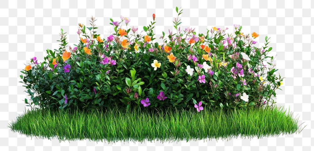 PNG Various spring flower bushes flowers grass outdoors.