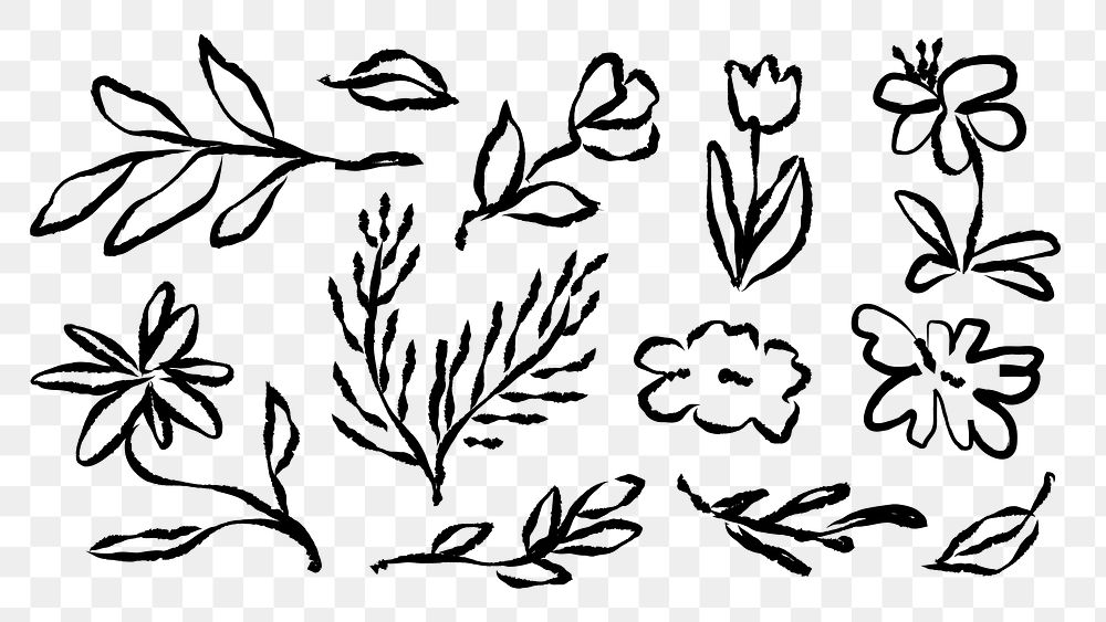 PNG Hand-drawn floral botanical elements on transparent background