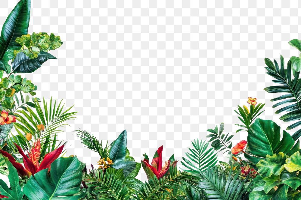 PNG Tropical Jungle borders jungle | Free PNG - rawpixel